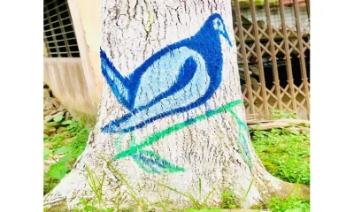 গাছের গায়ে রং তুলির খেলা!
