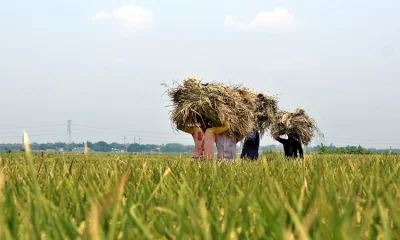 ছবি: মোশাররফ হোসেন
