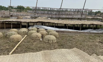 ছবি: আবুল খায়ের