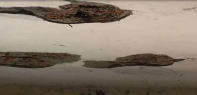 সাতক্ষীরা সদর হাসপাতালে ছাদ থেকে খসে পড়ছে পলেস্তারা।