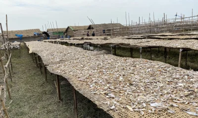 ছবি: আবুল খায়ের