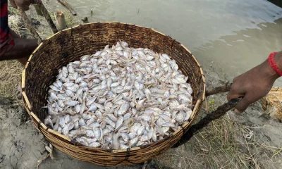 ছবি: আবুল খায়ের