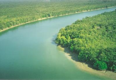 সুন্দরবন 
