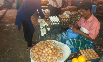 কাওরানবাজরে ডিম দোকান (ছবি: ইত্তেফাক)