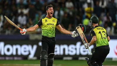 জয়ের পর ম্যাথু ওয়েড ও স্টইনিসের উল্লাস