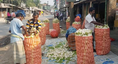 শীতকালীন নানা সবজিতে ভরে উঠেছে চরাঞ্চলের মাঠ