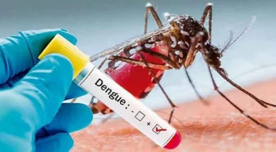 ডেঙ্গু। প্রতীকী ছবি