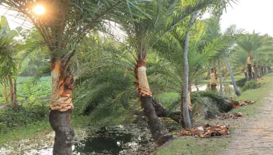 [ছবি: ইত্তেফাক]
