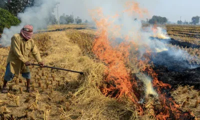 খড় পোড়াচ্ছেন এক কৃষক (ফাইল ছবি)