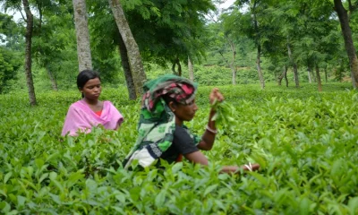 ছবি: আব্দুল বাতিন ফয়সল