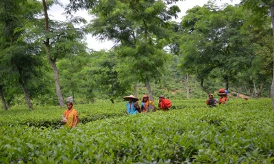 ছবি: আব্দুল বাতিন ফয়সল