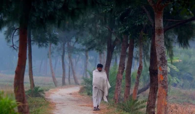 শীতের সকাল। ছবি- সংগৃহীত