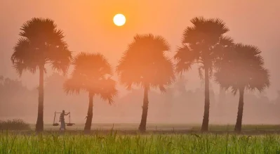 শীতের সকাল 