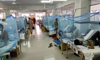 ডেঙ্গু
