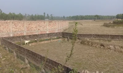 উপজেলার শমসেরনগর-ভানুগাছ সড়কে কৃষিজমিতে গড়ে উঠছে বসতবাড়ি। ছবি: ইত্তেফাক