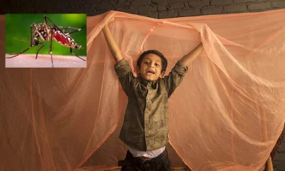  প্রচণ্ড মাথাব্যথা, শরীরে ঠাণ্ডা অনুভূতি, বমি ভাব বা বমি, মাংসপেশিতে ব্যথাও চিকনগুনিয়ার অন্যতম লক্ষণ