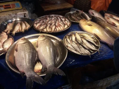মাছ