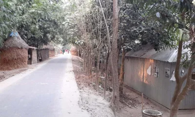 পানি উন্নয়ন বোর্ডের বেড়িবাঁধের দুই পাশে হতদরিদ্রদের ঘরবাড়ি