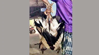 বিয়ানীবাজার পৌর শহরের রাস্তায় বিক্রি হচ্ছে অতিথি পাখি [ছবি: ইত্তেফাক]