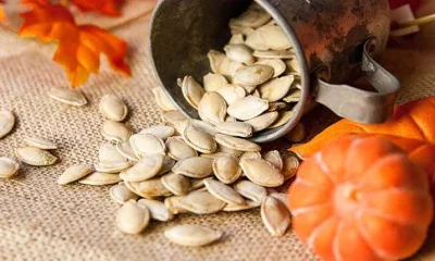 কুমড়ার বীজ থেকে ভিটামিন বি ও ট্রিপ্টোফেন পাওয়া যায়