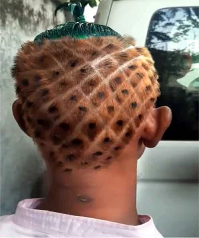  মাথার চুল কেটে আনারসসদৃশ বানানো হয়েছে।