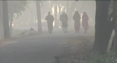 কাজের সন্ধানে যাচ্ছে মানুষ।