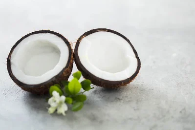 নারকেলের শাঁস দেহে চর্বি পোড়াতে সাহায্য করে