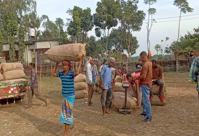 আলু বিক্রি করা হচ্ছে।