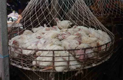 লালবাগ কেল্লার মোড়ের একটি মুরগির দোকান।