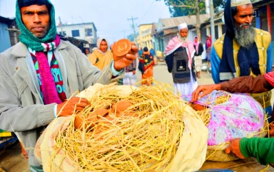 চিনিমুক্ত খেজুর গুড়। ছবি: ইত্তেফাক