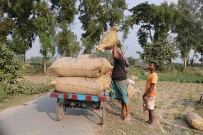 জমি থেকে আলু তুলে বাড়িতে নিচ্ছেন কৃষক।
