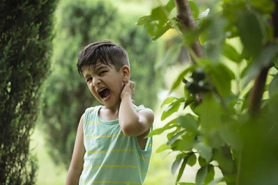 এডিস মশার উপদ্রব কমাতে সতর্কতা মানতে হবে