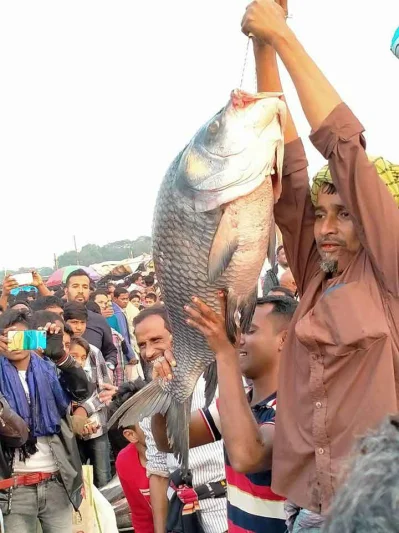 বড় মাছ দেখাচ্ছেন এক ব্যবসায়ী।