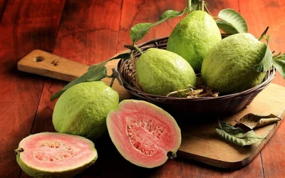 পেয়ারায় প্রচুর পরিমাণে ফাইবার থাকে