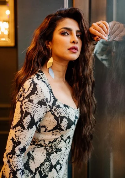 প্রিয়াঙ্কা চোপড়া। ছবি: সংগৃহীত