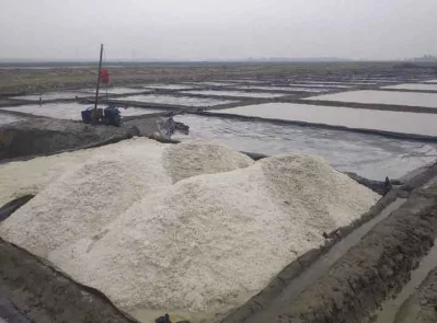 লবন স্তূপ করে রাখা হয়েছে।