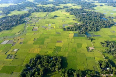 ছবি: শামসুল হক রিপন