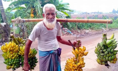 মুরাদনগরে ৮০ বছরের বৃদ্ধা মনু মিয়া কলা বিক্রি করে চলাচ্ছেন জীবন সংগ্রাম।