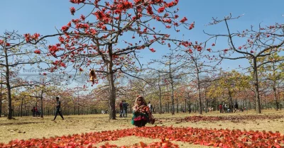 ছবি: আব্দুল গনি। 