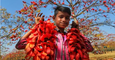 ছবি: আব্দুল গনি। 
