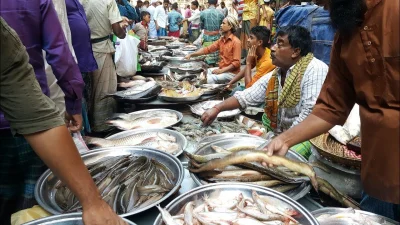 মাছের বাজার