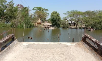 তালতলীতে ভেঙে পড়া ব্রিজ। ছবি- ইত্তেফাক