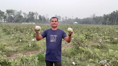 নিজ বাগানের পেয়ারা হাতে ফ্রেন্ডস এগ্রোর এক সদস্য