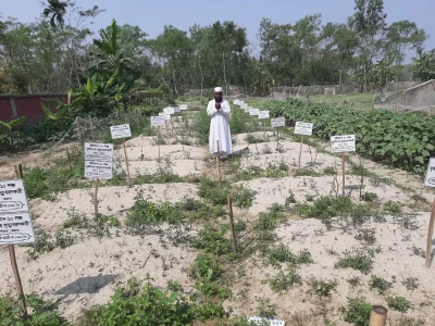কবর জিয়ারত করছেন এক ব্যক্তি। 