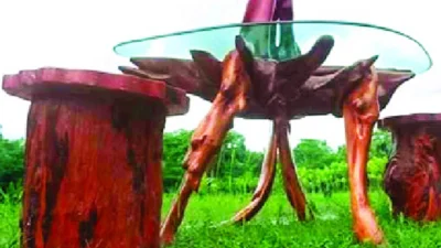 মন বাগানের আসবাব