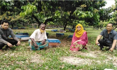 লিচু বাগান পরিদর্শন করেন উপজেলা কৃষি অফিসার কৃষিবিদ জোহরা সুলতানা
