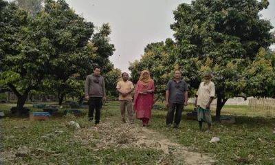 উপজেলা কৃষি অফিসার কৃষিবিদ জোহরা সুলতানা