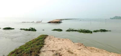 ডুবে গেছে দিরাই হাওরের ফসল। ছবি: ইত্তেফাক