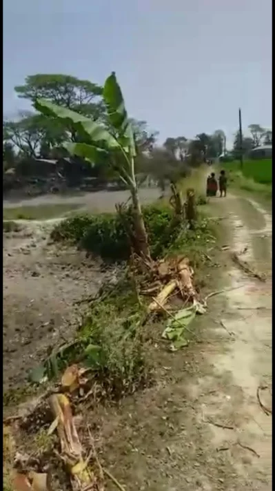ফসলি জমির মাটি কেটে নেওয়া হচ্ছে। 