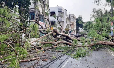 কালবৈশাখী ঝড়ে পৌর শহরের আমলাপাড়া প্রধান সড়কে বৈদ্যুতিক তারের উপর বৃহৎ গাছ ভেঙ্গে পড়ে ২টি বিদ্যুতের খুঁটি উপড়ে পড়ে